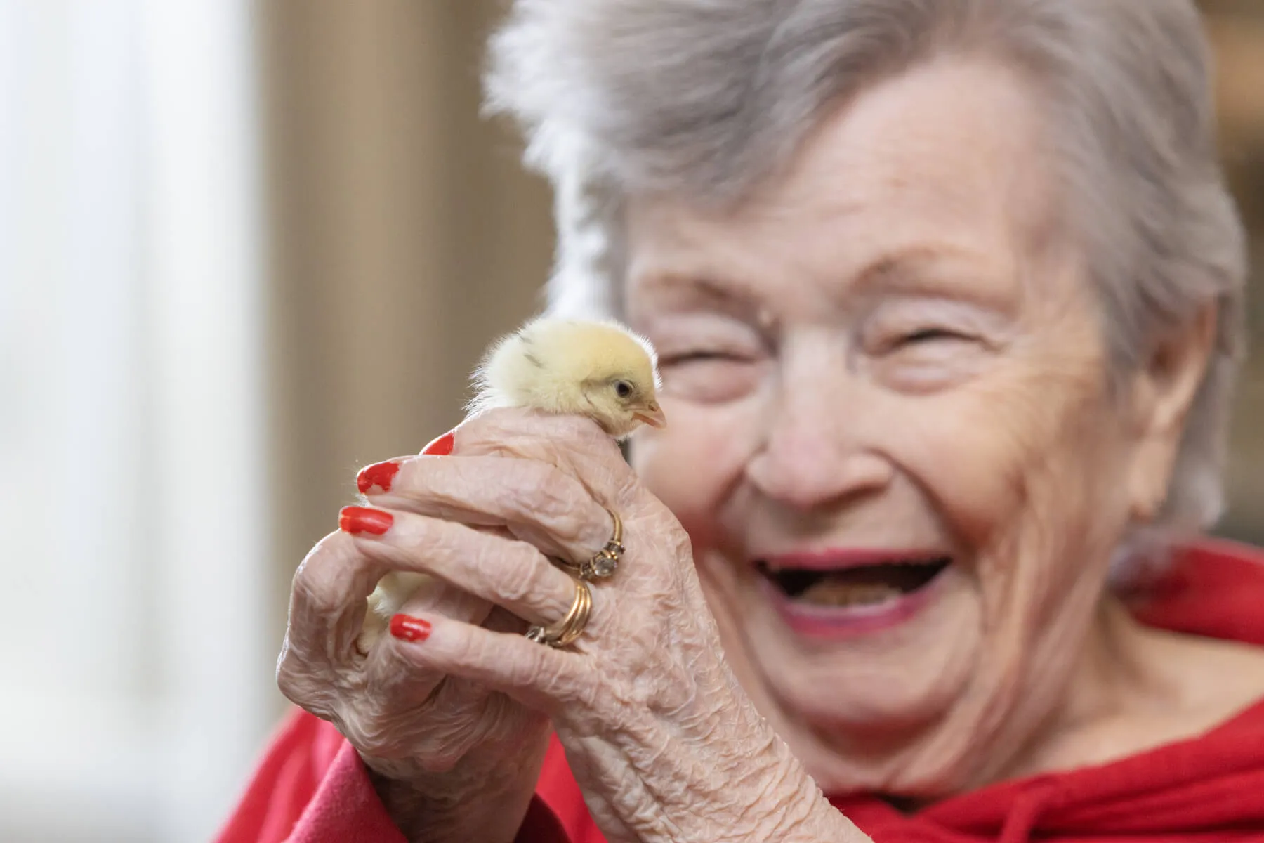 An elderly woman smiling while holding a small chick