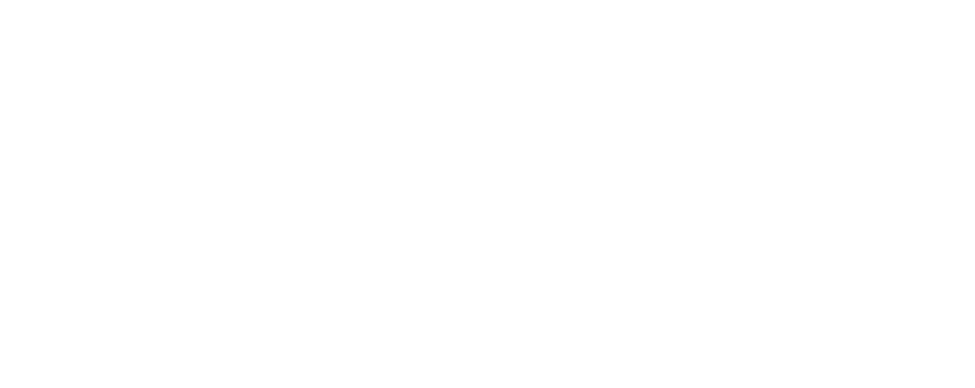 HeliNY logo