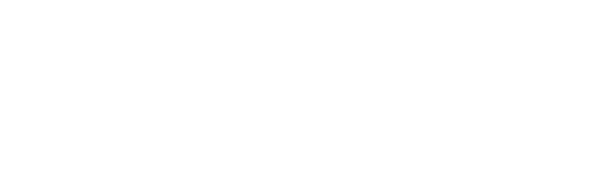 Lavan New York logo