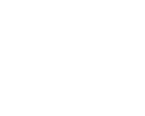 Weighted Evolution